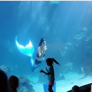 Meet your Posher, Jesse